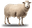 Carneiro