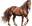 Cavalo