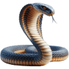 Cobra — jogo do bicho Grupo 9