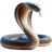 Cobra