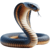 Cobra — Grupo 9