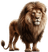 Leão