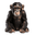 Macaco