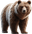 Urso